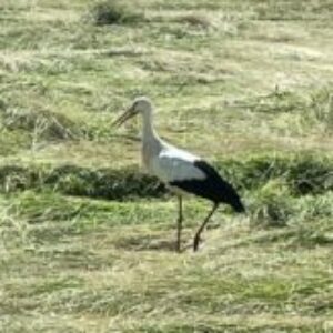 Photo de Profil de Magali